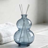 Bouteille diffuseur en verre vide en forme de gourde 150ML 250ML 500ML 1000ML pour diffuseur à bâtonnets, vase diffuseur, décoration d'intérieur, bouteille en verre pour arômes - Vente en gros