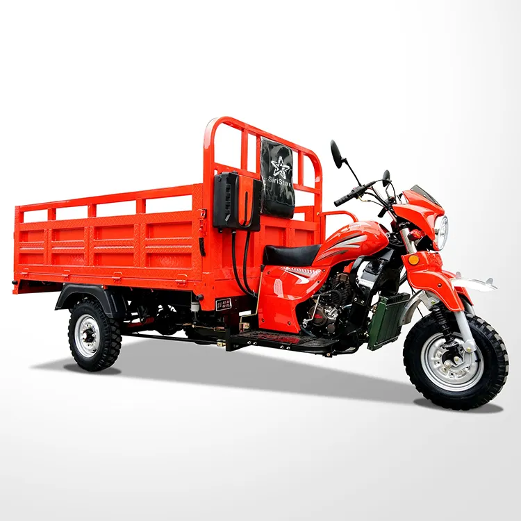 China Top Quality Export Big Wheel Petrol Tricycles 200cc 250cc Benin Nigeria Trike Gasoline Cargo Tricycle Motorcycle