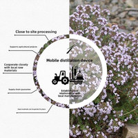 Huile Essentielle de Thym Vulgaris 100% Pure, Biologique et Distillée en Gros pour l'Aromathérapie, les Soins de la Peau, les Cheveux, les Bougies, les Diffuseurs et les Huiles de Massage