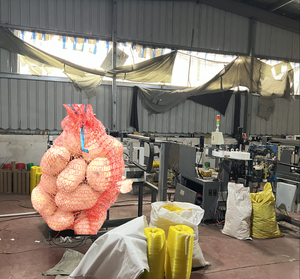 Bolsa de malla Pe Raschel de plástico de alta calidad e irrompible en embalaje de limón en rollo - Product Image 5
