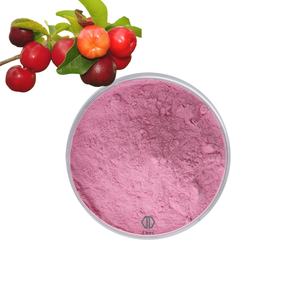 ผงเชอร์รี่ Acerola 1กก. ผงเชอร์รี่ Acerola แห้งแบบออร์แกนิกแช่แข็ง - Product Image 1