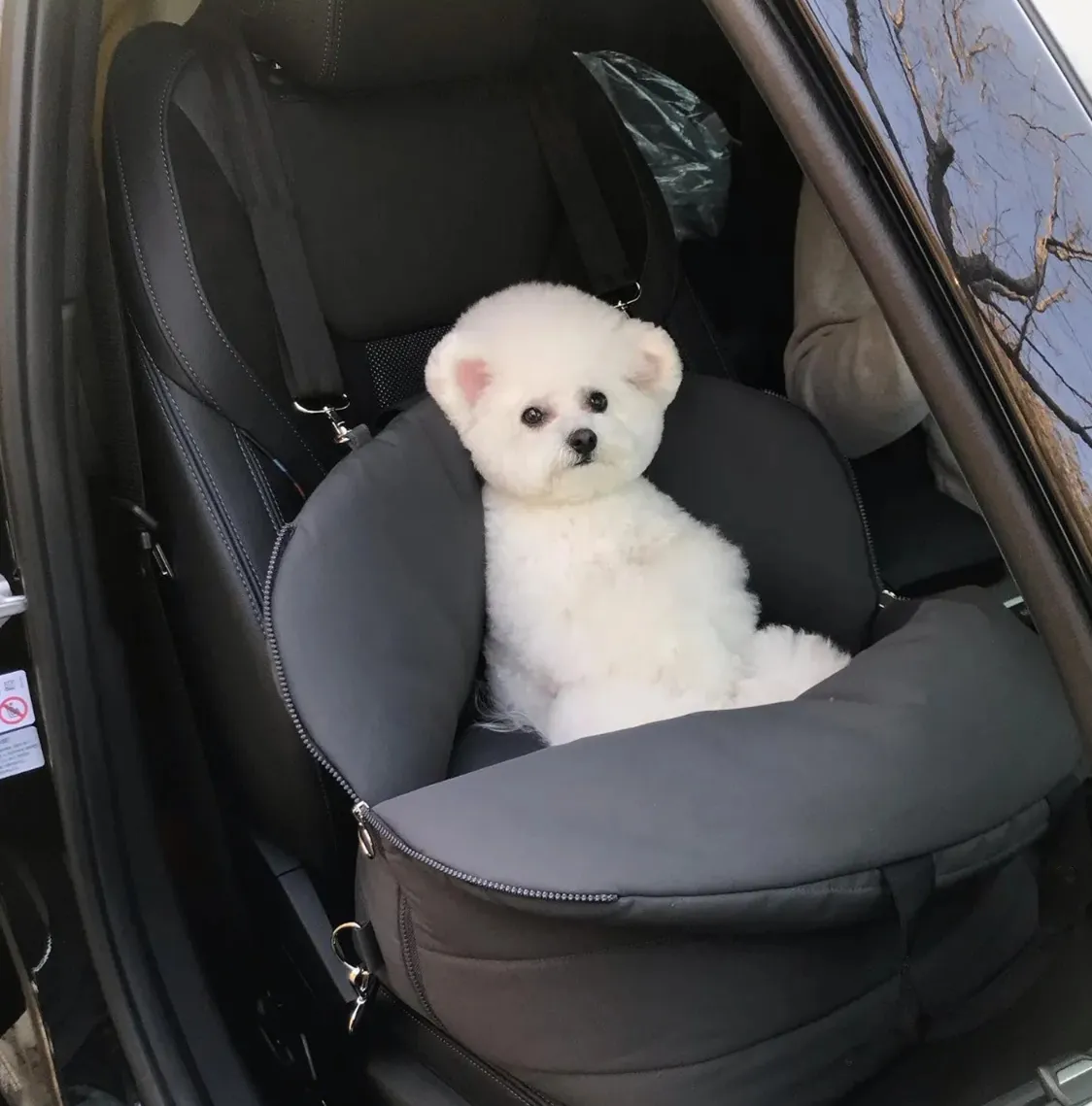 Dog Car Seat Pet Carrier Booster Seat Pet Carry Bag for Dogs Crease Resist, Open Zipper Pet House Outdoor Travel Bag Tote Bag