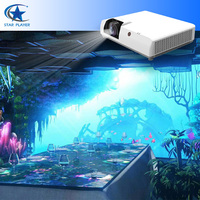 Projecteur d'Affichage Holographique 3D 4D Mobile Immersif, pour Chambre, Restaurant, Mappage Interactif Intérieur, Android
