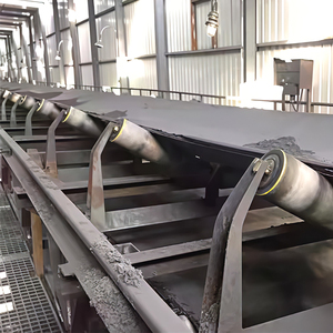 Galet de convoyeur en pierre de jade Dia.89 - Faible entretien, longue durée de vie, garantie 4 ans pour les usines de sel, Thinkroll OEM - Product Image 6