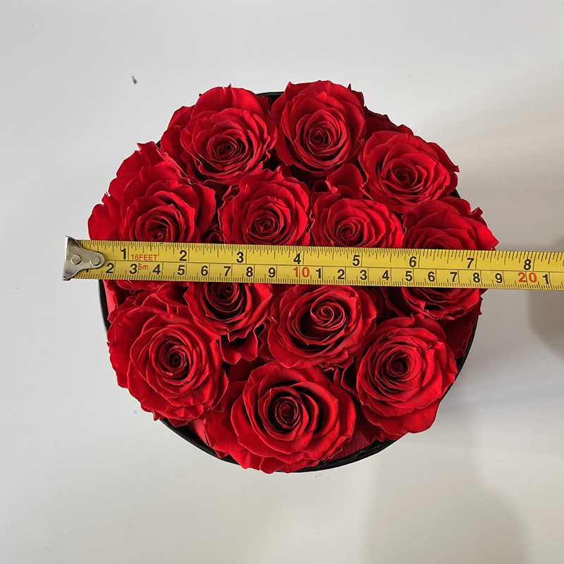 12 rose dans une boîte ronde