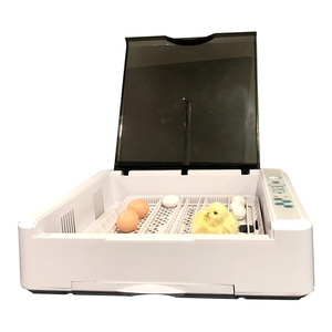 Incubadora de <span class=keywords><strong>Huevos</strong></span> Automática Mini YZ-36 con Envío Gratuito, Máquina para Incubar 36 <span class=keywords><strong>Huevos</strong></span> - Product Image 6