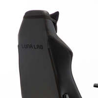 Chaise de jeu avec oreiller de table Chaise de joueur Chaise de haute qualité Gaimer Para Jugador Chaise Bureau