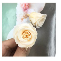 Tête de Rose Préservée Naturelle de 2 à 3cm, Tête de Rose Préservée, Diamètre de 2 à 3cm, Nouvelle Arrivée