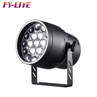 Projecteur PAR FY-LITE 300W LED 19*15W RGBW 4-en-1 Zoom Beam avec effet de teinture DMX512 DJ