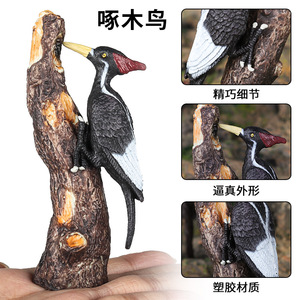 Brinquedos de simulação de animais sólidos para crianças, ornamentos de pássaros, <span class=keywords><strong>pica-pau</strong></span>, doutor da floresta, presentes cognitivos benéficos - Product Image 4