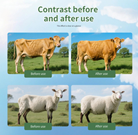 OME Bovins Mouton Croissance Booster Additif Alimentaire pour Bétail Engraissement Gain de Poids Améliorer la Qualité de la Viande Vitamine Prémélange Poudre