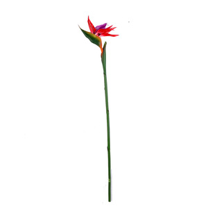 BF-BP04 Vente en gros Décoration d'intérieur Fleur artificielle Faux Crane Flower Fleur artificielle Oiseau de <span class=keywords><strong>paradis</strong></span> - Product Image 6