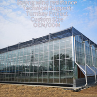 Grande serre agricole multi-chapelles en verre et polycarbonate, système hydroponique, résistance au vent et à la corrosion, acier galvanisé
