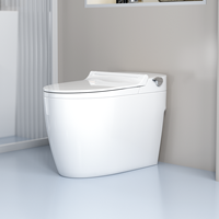 WC intelligent non électrique avec réservoir intégré, lavage arrière, lavage féminin, en céramique, monobloc, bidet intelligent pour salle de bain