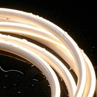 Bande LED flexible dimmable AC 220V avec protection IP67 et garantie de 3 ans pour l'éclairage paysager