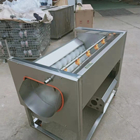 Multifunctionele groentewas- en schilmachine, borsteltype fruitreiniger, automatische roestvrijstalen voedselverwerkingsapparatuur