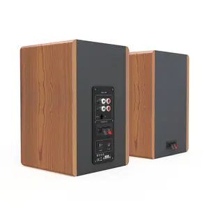 SR01 di Alta-end di legno del grano tecnologia HIFI speaker surround sound sistema di RMS50W diffusore Da Scaffale