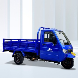 DAYANG truk kargo pengiriman gas bertenaga 250cc 3 roda mesin muatan - Product Image 3