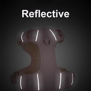 Essential No Pull Comfort Acolchado Oxford Arnés para perros Hebilla de seguridad y ajuste de anillo en <span class=keywords><strong>D</strong></span> para caminar o aventuras diarias - Product Image 6