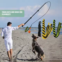 Queue de poursuite interactive de haute qualité OEM personnalisé vente chaude pôle télescopique pour chien Teaser