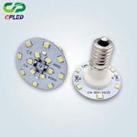 Ampoules LED Cabochon 24V 60V E10 E14 60mm Blanc Froid pour Parc à Thème IP65 PC