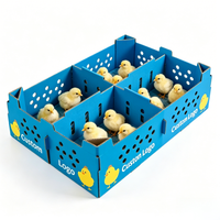 Boîtes en carton ondulé vierges avec trous d'aération, boîte d'emballage pour animaux de ferme, pour poulets, lapins, petits animaux, expédition en gros