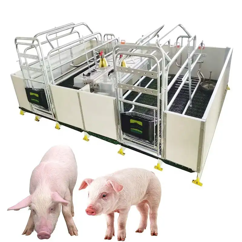2023 vente chaude Cages pour animaux Cages de mise bas de porcs Caisses de mise bas de porcs Équipement d'élevage de porcs Stylo de mise bas à vendre Caisses de mise bas