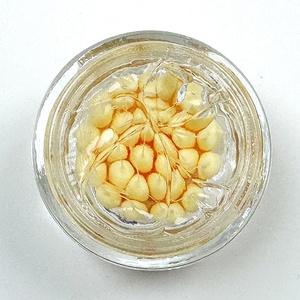 Crème Visage Anti-Âge et Éclaircissante au Retinol, Mucine d'<span class=keywords><strong>Escargot</strong></span>, Beurre de Karité et Feuille d'Or 24 carats pour Peaux Normales – Marque Blanche - Product Image 1