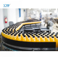 Automatische PLC-gestuurde olie- en chemische dranken PET glazen fles warmvulmachine voor sap en dranken