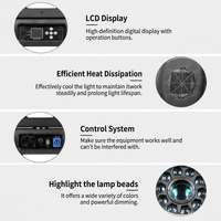 Projecteur LED professionnel 300W RGBW Bee Eye pour éclairage de scène, équipement DJ, discothèque, DMX512, CRI 90 élevé, thème