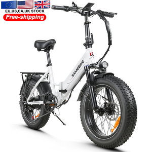 新潮流澳大利亚股票20英寸Ebike 250瓦电机Ebike带后载体13AH脂肪轮胎Ebike成人 - Product Image 1