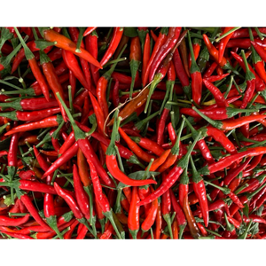 Embalaje personalizado Agrícola Vietnamita Chile fresco Otras verduras frescas Especias Hierbas Procesamiento crudo Precio razonable - Product Image 4