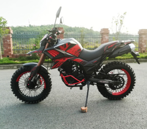 China 125cc 200cc <strong>250cc</strong> EEC <strong>Motorcycles</strong> FUEGO TEKKEN250 FUEGO <strong>Motorcycle</strong> Cheap for Sale 11190113 - Product Image 4