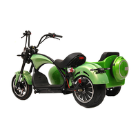 Scooter électrique à trois roues avec GPS, pliable, étanche, longue autonomie, Citycoco, Streetbikes, tout-terrain, side-car