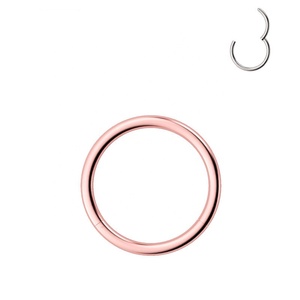 Top-elf Vente en Gros Titane G23 ASTM F136 Anneau de Nez Septum Percé de Mode Boucles d'Oreilles Créoles Rondes Bijoux de Piercing - Product Image 4