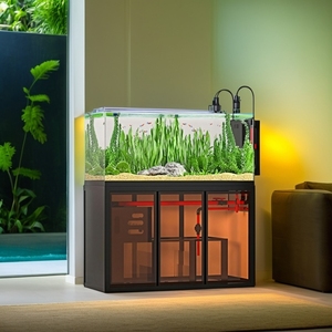 Industrial Style Aquascape <strong>Aquarium</strong> Side Overflow Sump Filter Tank Low Maintenance Rectangular for Living Open View <strong>River</strong> Stream - Product Image 5