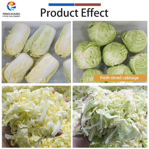 Machine de découpe, lavage et séchage de choux Fengxiang 2000 kg/h en acier inoxydable SUS304 – Ligne de traitement de légumes frais coupés - Product Image 3