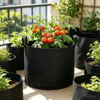 Sac d'usine de fabrication robuste pour tomates myrtilles hurbs pot de fraises sac de culture de plantes en tissu non tissé