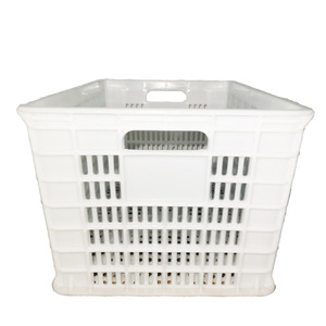 Caisse en plastique 525x365x315mm empilable, bac de manutention pour fruits et légumes, matière PP blanche - Product Image 5