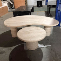 Table basse décorative en travertin de forme de haricot et de cercle de Table de flaque centrale en pierre de salon classique