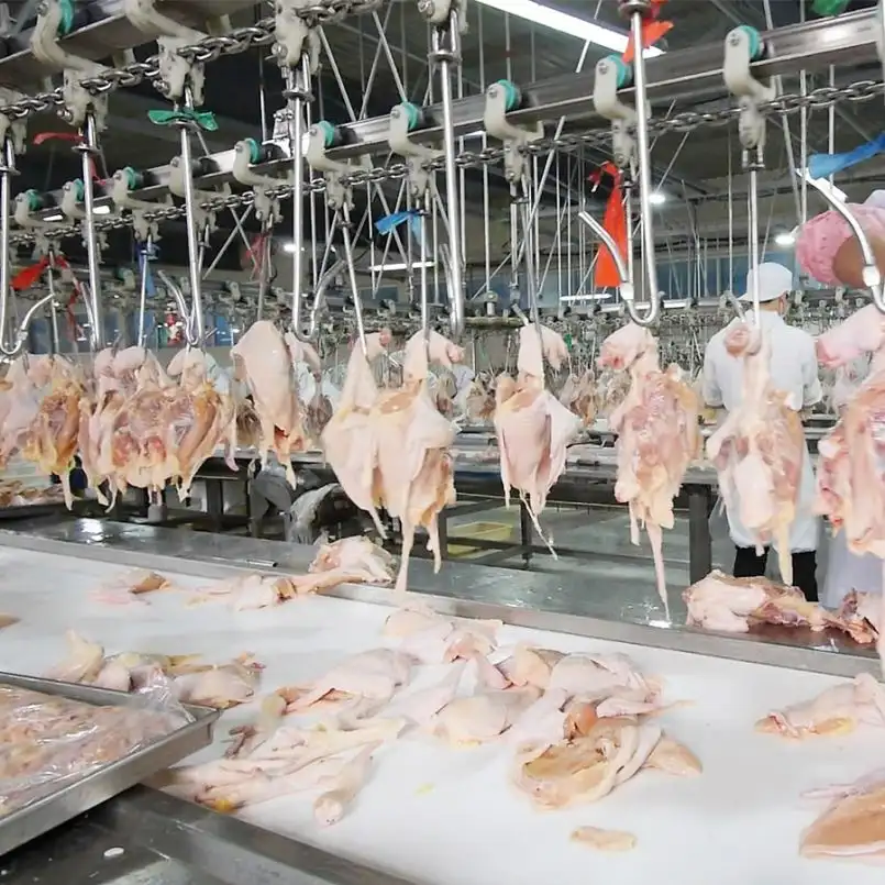 Apparatuur Machine Plucker Plukken Vlees Kip Abattoir Slachten Vingers Uitbenen Voor Koop Eviscerating Gevogelte Verwerking Lijn