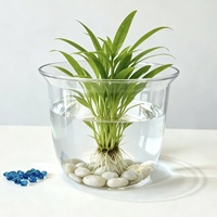 Pot de fleurs hydroponique rond transparent en plastique pour la culture verticale intérieure et la décoration de la maison