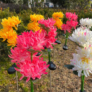 Lámpara Solar de crisantemo <span class=keywords><strong>salvaje</strong></span>, luz LED de flor, Estaca de césped para exteriores, impermeable, decoración de <span class=keywords><strong>camino</strong></span> de jardín y hogar, 2 uds. - Product Image 3