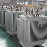 Transformateur de distribution d'énergie électrique immergé dans l'huile 20KV 50KVA 100KVA 150KVA 200KVA 250KVA 300KVA 400KVA 450KVA 500KVA