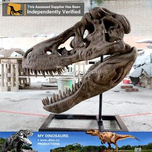 Cráneo de Tiranosaurio Rex de Tamaño Real MyDino - Product Image 3