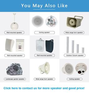 Sistema de altavoces de pared para exteriores, equipo de sonido profesional, amplificadores, altavoces de montaje en pared - Product Image 6