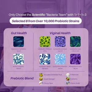 Probióticos para Mulheres Adultas 60 Cápsulas Akkermansia 6 Probiótico Vaginal 3 Pré-bióticos 300 Milhões AFU 50 Bilhões CFU Tudo-em-um - Product Image 5