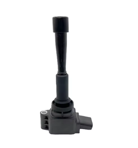 Zündspule für DAT150250200 DAED119826 Hawta E80 1.5T Santa Fe <span class=keywords><strong>5</strong></span> 1.5T Landwind XIAOYAO 1.5T - Product Image 2