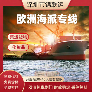 Transporte marítimo Jinlianyun Europa LCL+Express Alemania Entrega DPD Puerta a Puerta Incluye Despacho de Aduanas - Product Image 5