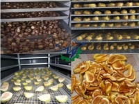 Automatische groente- en fruitvriesdroogmachine motor voedselveilig hoge efficiëntie energiebesparend voor bloemen op maat gemaakt